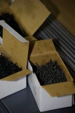 FERIAD'IP-2024-VIS25_09